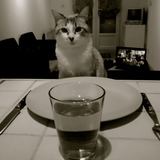 [•] Repas du soir, Bonsoir !