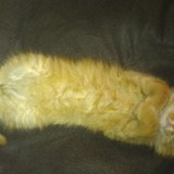 Ness, ma p'tite soeur