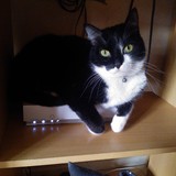 Môman adore cette photo de moi &hearts;