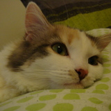 pensive...