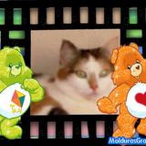 MUSSY