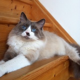 en mode pose