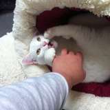 j'aime bien me faire les dents sur les doigts de maman