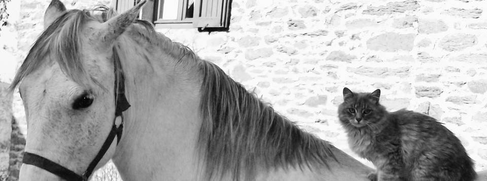 Bouboule 