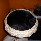 Rond de chat ;)