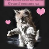 ♥♥♥