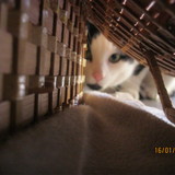 CACHE-CACHE (avec Flo') !!! :P