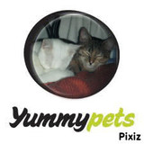 DIXY ET YLIXIR