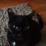 Guinness