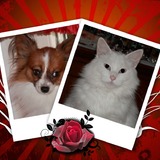 Lilou