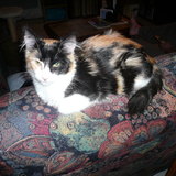 Praline