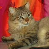 Snorky ♥