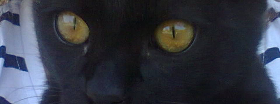 Blacky