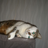 Maman elle me trouve trop chou la dessus !