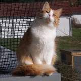 je prends le soleil...