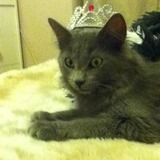 Lila
