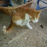 ma tite souris !