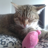 Tigrou