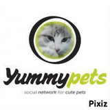 LIXY