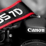 Les amoureux de la photographie