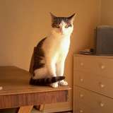 MARCO(Mon p'tit Lou)