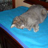 Louna