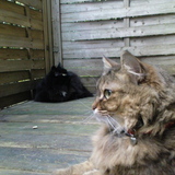 Posée dehors avec mon pote