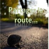 Patagez ♥♥♥