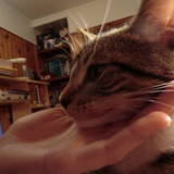 Millie
