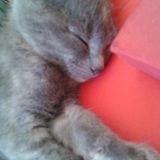 Rubie