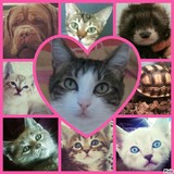 ♥ Notre famille ♥