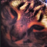 Minette 2