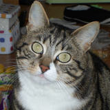 Mirou