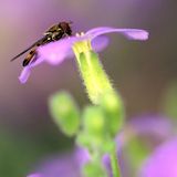 Photographie 