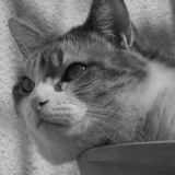 Praline &hearts;