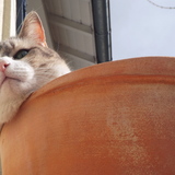 Praline &hearts;