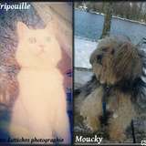 Fripouille & Moucky . 