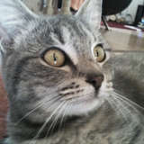 Vagabonde ♥