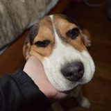 Vos plus belles photos