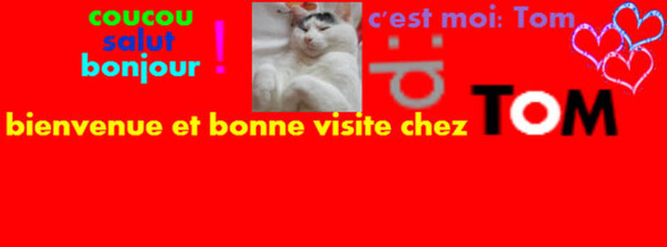 Tom=^.^=