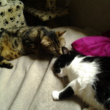 Lyloou Ponpon L'Amour de ma vie et Lyli un autre Amour de ma vie &hearts;&hearts;&hearts;&hearts;