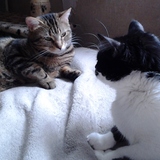 Lyloou Ponpon L'Amour de ma vie et Lyli un autre Amour de ma vie&hearts;&hearts;&hearts;&hearts;