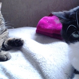 Lyloou Ponpon et Lyli