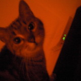 Maïra