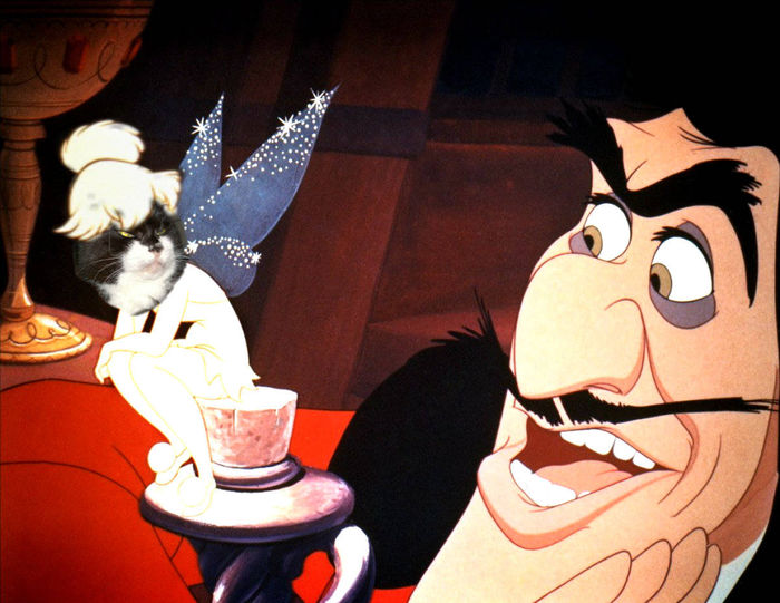 Pas contente, la fée Clochette... , photo of the group «&nbsp;DISNEYPETS TOONS
