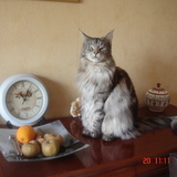 fidji (ma louloute)