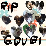 Goubi