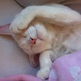 Je fais dodo tranquille avec maman <3