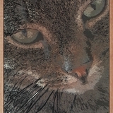 Nounou 