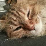 allez laisse moi me reposer maintenant maman 